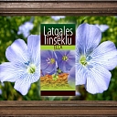Latgale linseed oil
