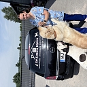 Mobile veterinary practice