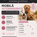 Амбулаторные ветеринарные услуги