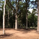 Park creation