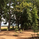Park creation