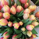 Flower shop in talsi