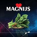 magnijs