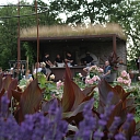 Farm guests enjoying food