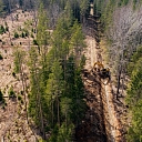 мелиорация леса