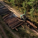 Forestry