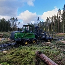 Logging services