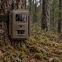 Forest camera