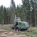 Лесное хозяйство