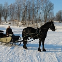 Driving with a sleigh Vestiena Stiklini