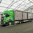 express cargo delivery