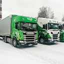 international cargo transportation