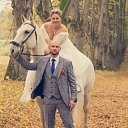 Wedding photoshoot with horses