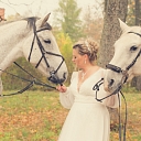 Photo session with horses