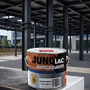 Anticorrosion paint