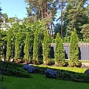 Уход за зелеными насаждениями