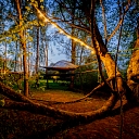 Tents Liepa atmosphere