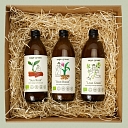 sage-green, SIA produkcija