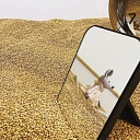 Classes for stress reduction