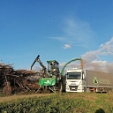 Logging