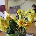 School for little ones Poga