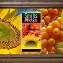Seabuckthorn oil