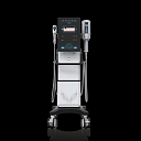 Spheresculpt (Endosfēra tipa)