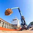 stevedore services
