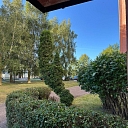 Dekoratīvo krūmu un koku kopšana sakoptai videi