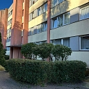 Profesionāla apstādījumu sakopšana un teritorijas uzlabošana