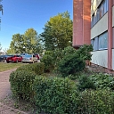 Rejuvenating green areas and thinning bushes with SwiftClean