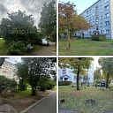 Complete cleaning of yards and living areas with SwiftClean