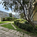 Cleaning of courtyards and green areas for apartment buildings