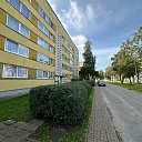 Hedge formation and territory maintenance in urban environments