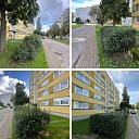 Shrub trimming and landscaping in urban environments