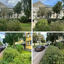 Tree and green area care with a professional approach