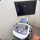 Ultrasound machine for animals