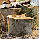 Tree cutting in hard to reach places