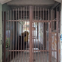 Swing gates with built-in pedestrian gates