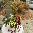 Recreation by the nature