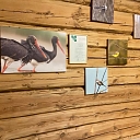 Гостиница и размещение в Резекне