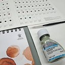 professional painting materials from Vilhelms.