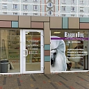 Dog and cat hairstyles