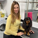 Animal hairdresser's