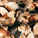 Forest administration