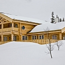 Assembly of log building frames