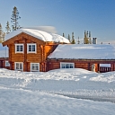 Assembly of log building frames