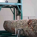 Precise wood processing with a professional band saw