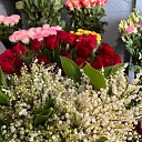 Салон цветов в Валмиере