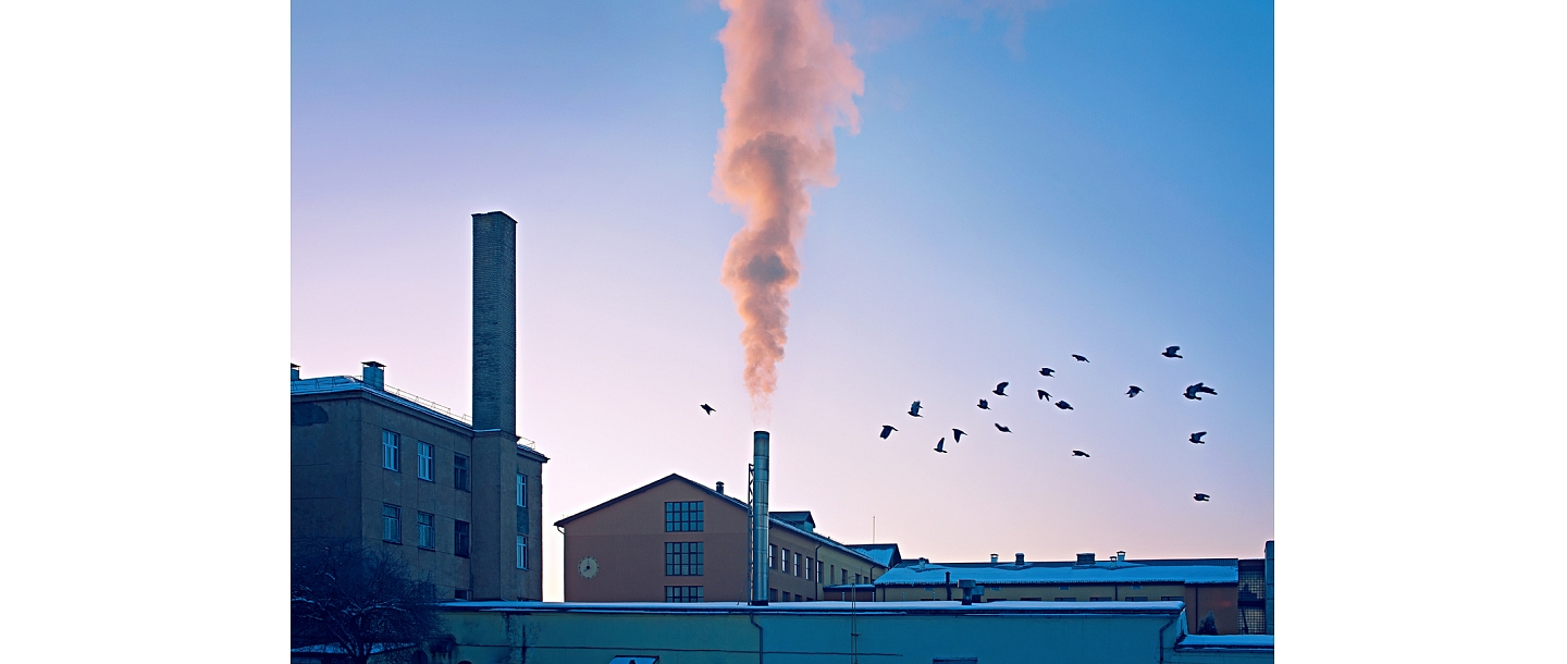 Фотограф в Елгаве